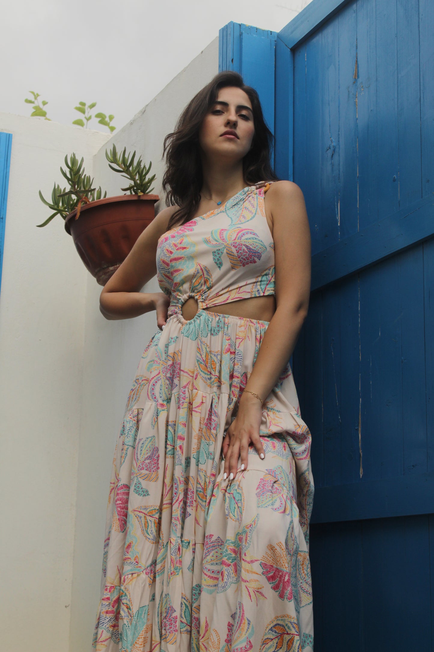 Vida Dress